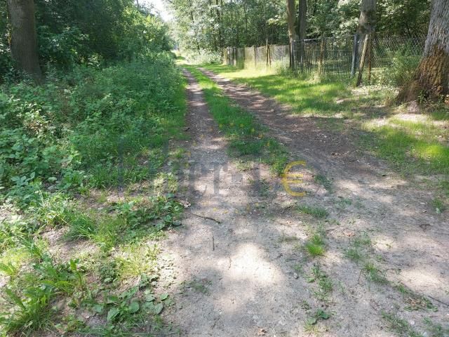 Działka budowlana Popielarze, Popielarze. Zdjęcie 10