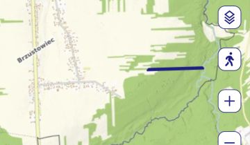 Działka leśna Brzustowiec Brzustowiec-Kolonia