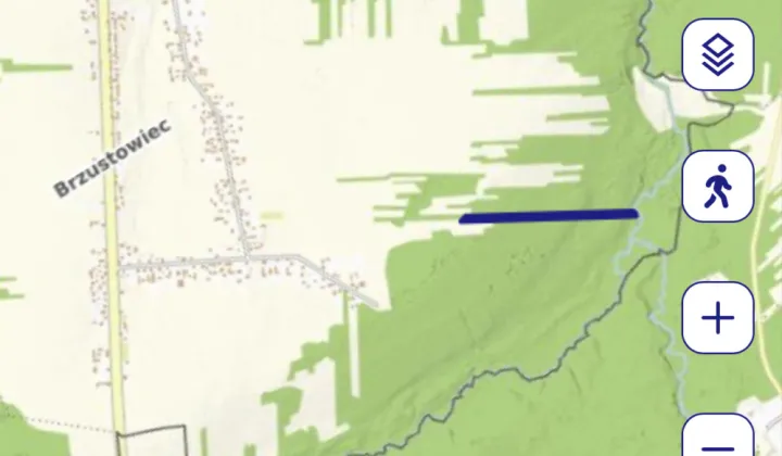 Działka leśna Brzustowiec Brzustowiec-Kolonia