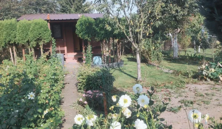 Działka rod Sosnowiec Środula, al. Ignacego Paderewskiego