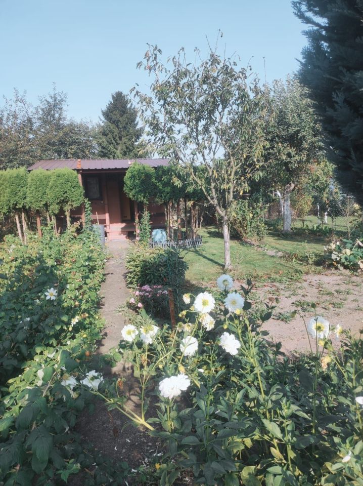 Działka rod Sosnowiec Środula, al. Ignacego Paderewskiego