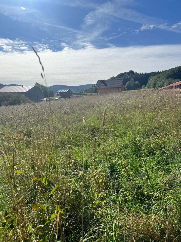 Działka budowlana Wieściszowice. Zdjęcie 6