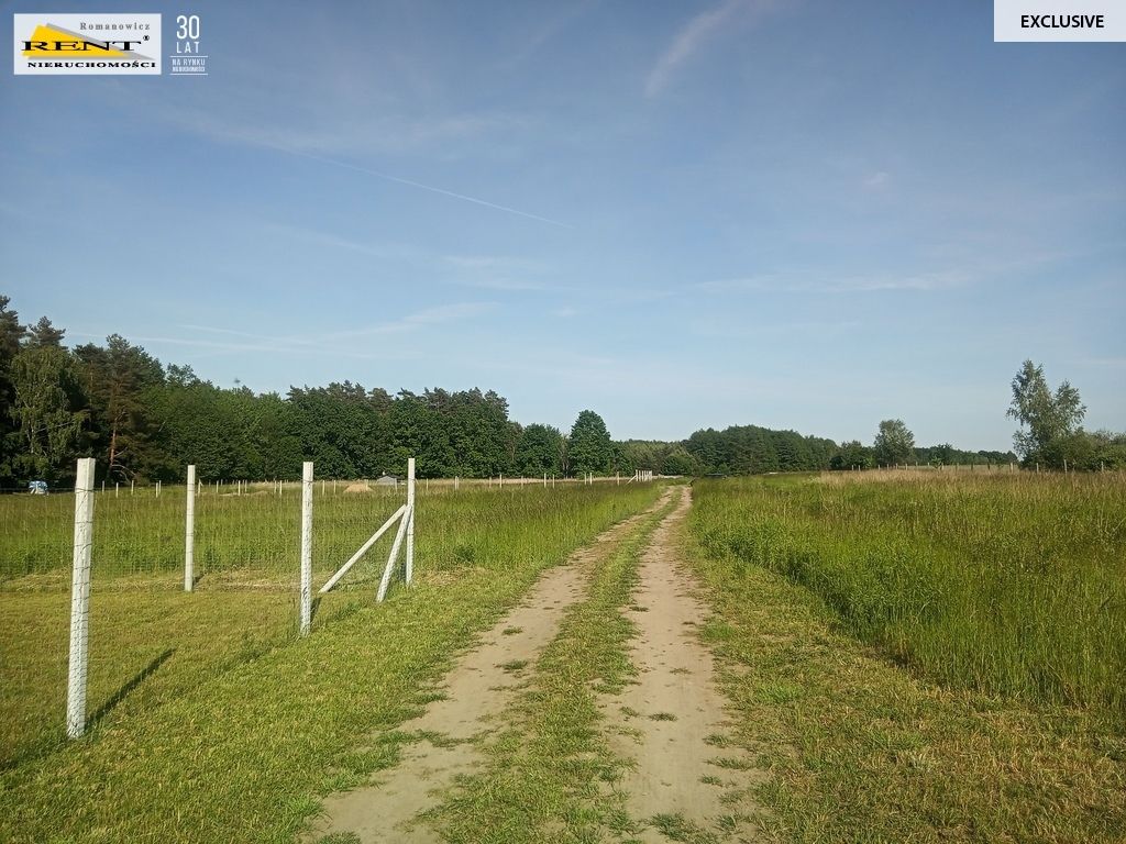 Działka inwestycyjna Chociwel. Zdjęcie 4