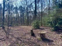 Działka leśna Tłokinia Wielka. Zdjęcie 1