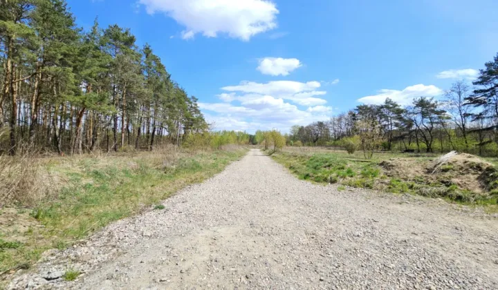 Działka budowlana Żółwin