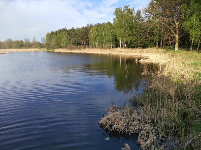 Działka budowlana Bujny Księże. Zdjęcie 1