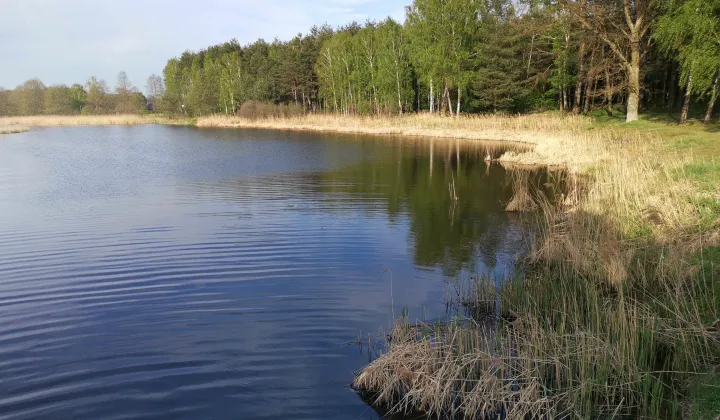 Działka budowlana Bujny Księże