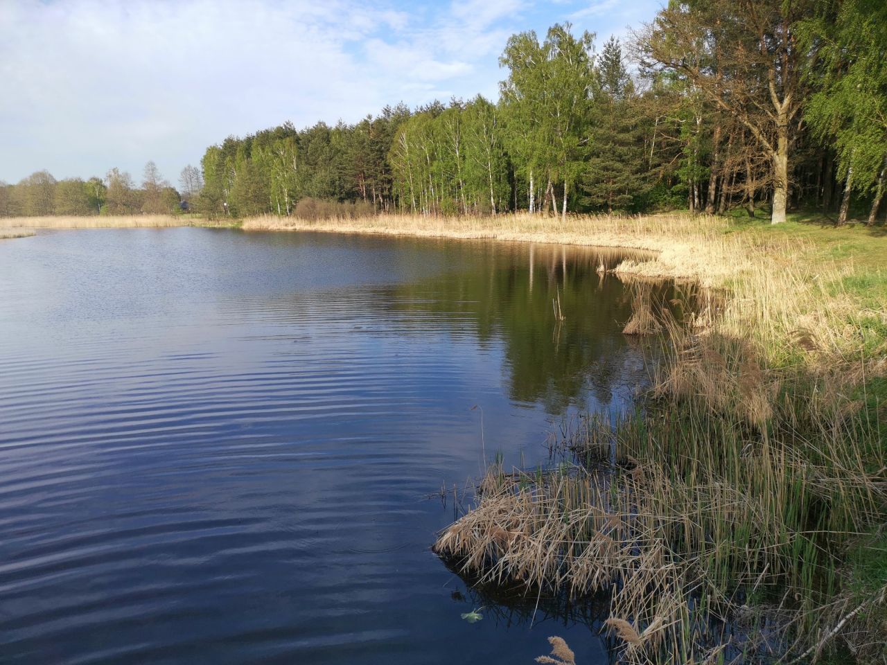 Działka budowlana Bujny Księże. Zdjęcie 1