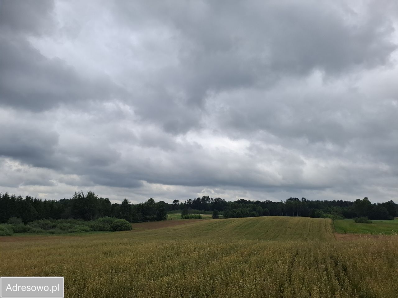 Działka rolna Pluty. Zdjęcie 2