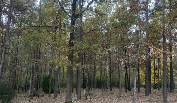 Działka budowlana Czartajew, ul. Spacerowa