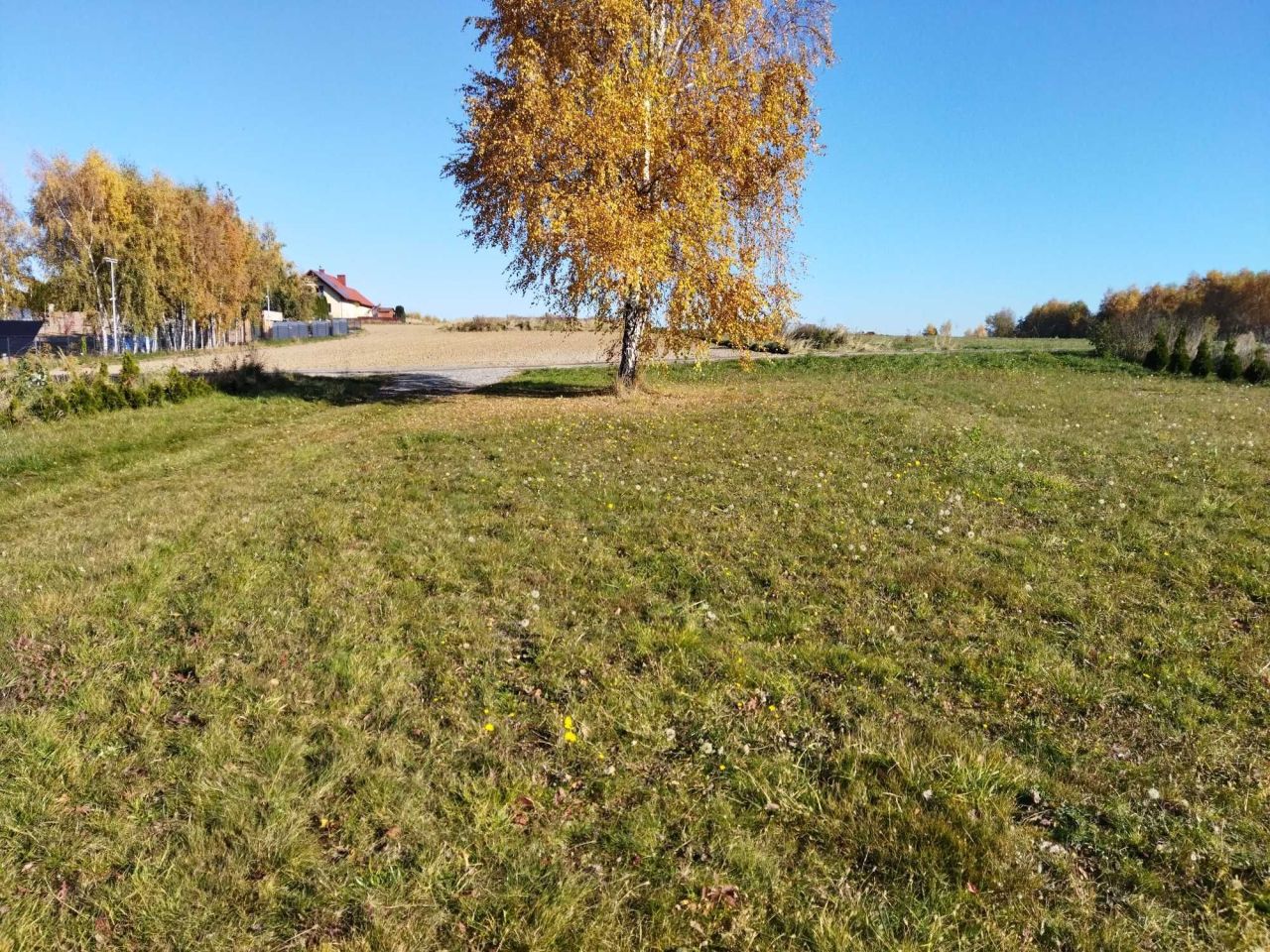 Działka rolna Bibice, ul. Leszczynowa. Zdjęcie 5