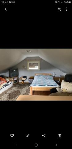 Działka rod Gdańsk Jasień, Gronostajowa 7. Zdjęcie 7