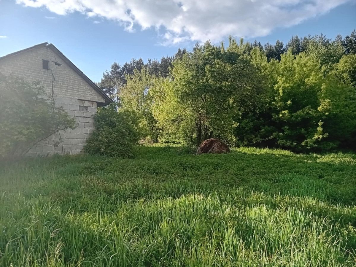 Działka rolno-budowlana Czarny Las-Kolonia. Zdjęcie 1