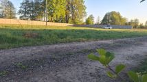 Działka budowlana Mierzyn. Zdjęcie 2