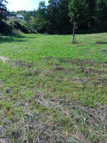 Działka budowlana Rzeszów Słocina. Zdjęcie 1