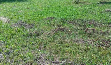 Działka na sprzedaż bez pośredników          
          
            Słocina          
          
            Rzeszów – pohled 6