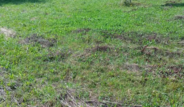 Działka budowlana Rzeszów Słocina