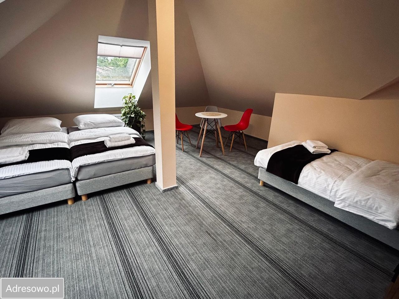 Hotel/pensjonat Duszniki-Zdrój, ul. Fryderyka Chopina. Zdjęcie 4