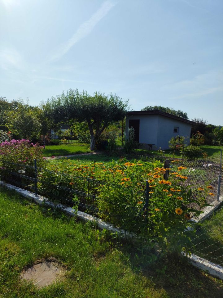 Działka rod Wałcz Raduń. Zdjęcie 2