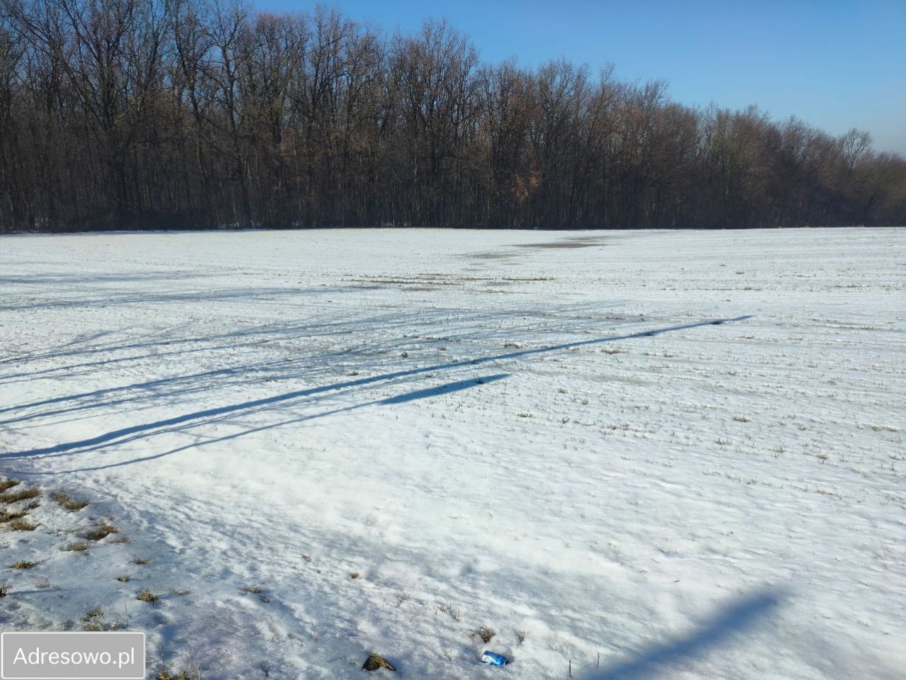 Działka budowlana Celiny. Zdjęcie 9