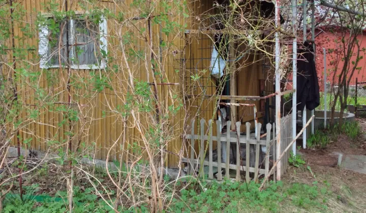 Działka rod Warszawa Paluch, ul. Paluch