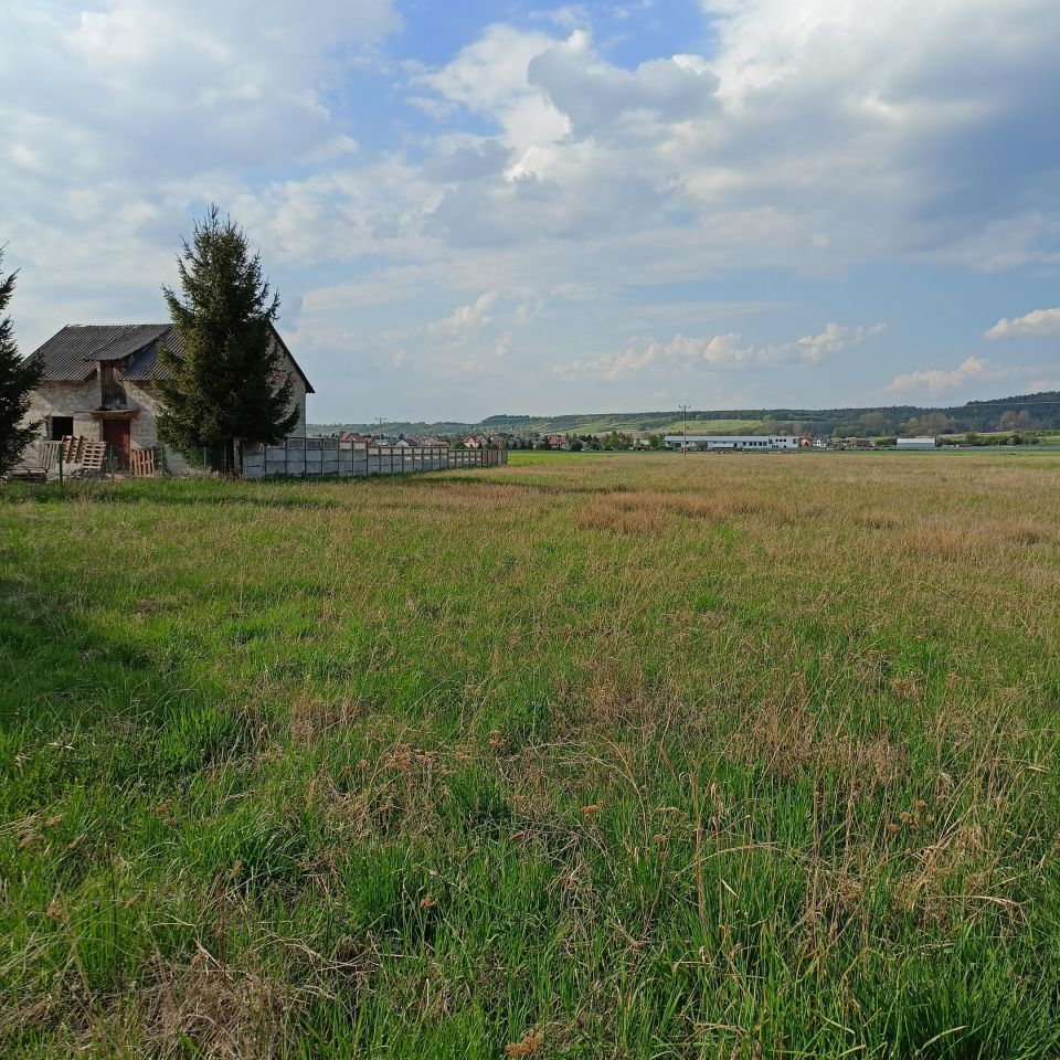 Działka rolno-budowlana Pasturka Krzywda. Zdjęcie 5