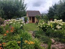 Działka rod Bełchatów, ul. Cegielniana. Zdjęcie 3