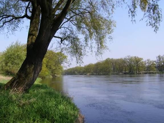 Działka rolno-budowlana Nowa Wieś. Zdjęcie 2