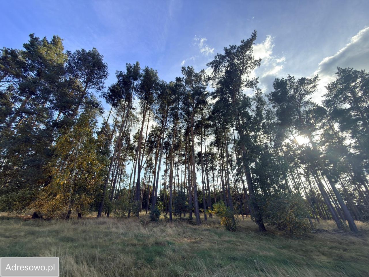 Działka rolna Kębłowo. Zdjęcie 7