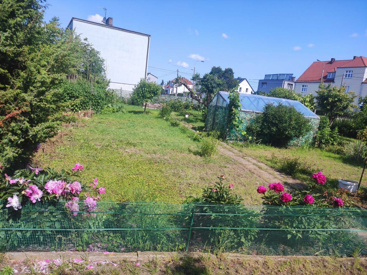 Działka rod Gorzów Wielkopolski Zakanale . Zdjęcie 8