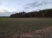 Działka budowlana Ciche. Zdjęcie 2