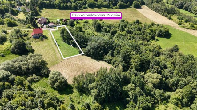 Działka siedliskowa Pawlikowice. Zdjęcie 1