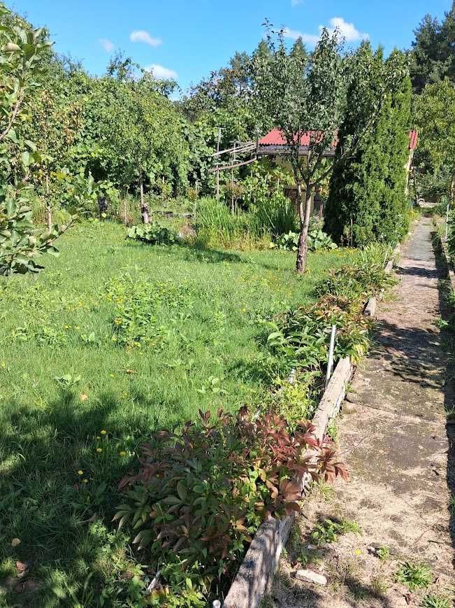 Działka rod Zielona Góra Przylep, ul. Foluszowa. Zdjęcie 2