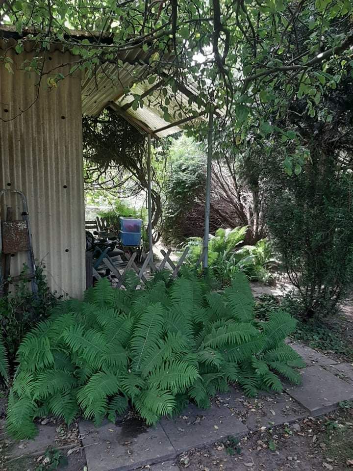 Działka rod Gdańsk Złota Karczma, ul. mjr. Mieczysława Słabego. Zdjęcie 13