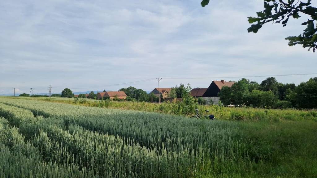 Działka budowlana Siekierczyn