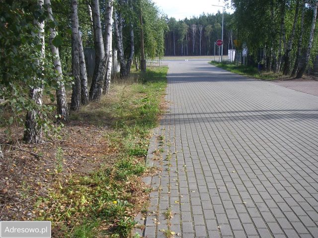 Działka budowlana Niwy, ul. Krakowska. Zdjęcie 1