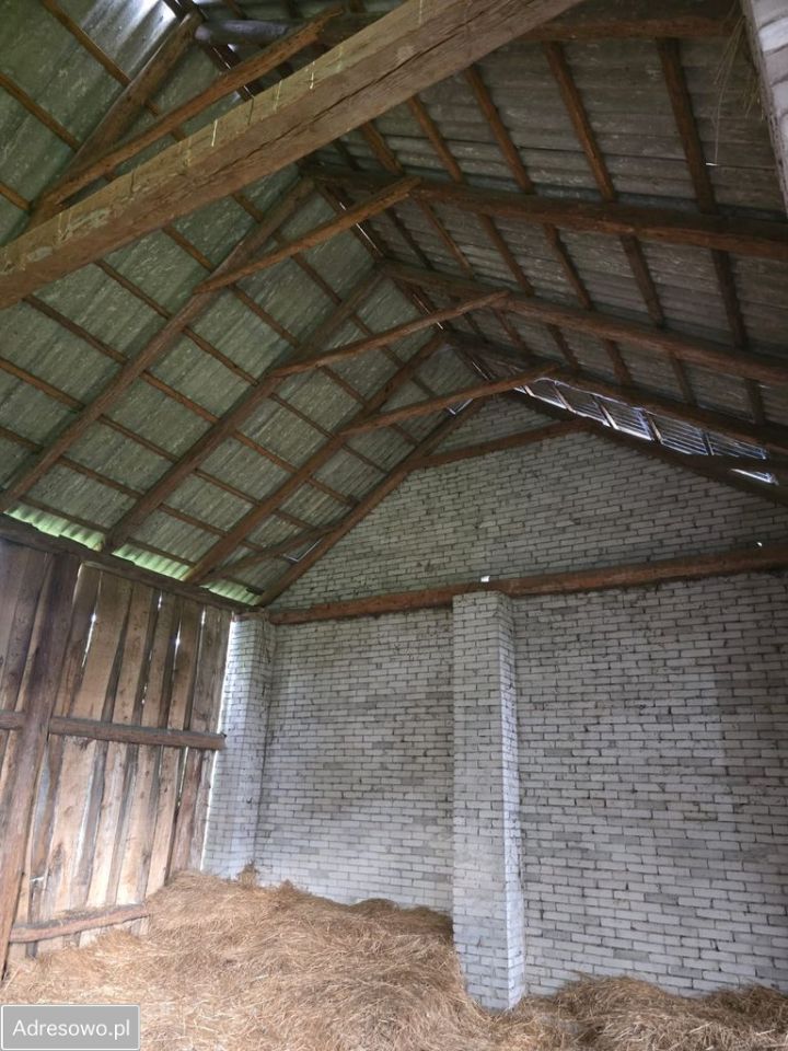 Działka rolna Wola Brudnowska. Zdjęcie 8