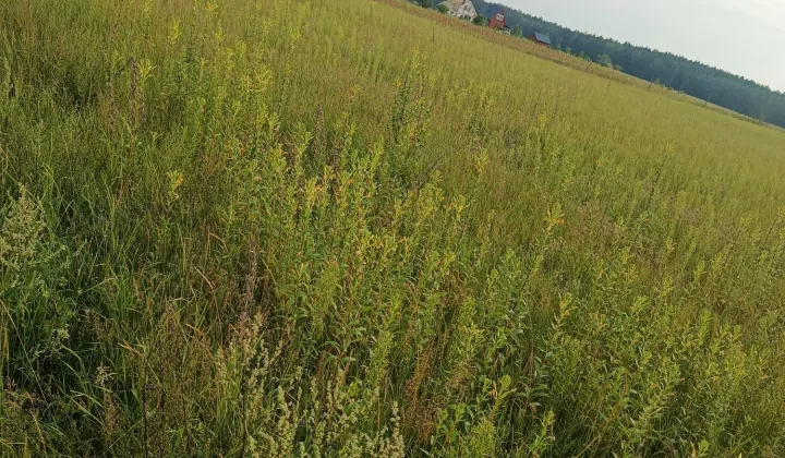 Działka budowlana Tobołowo