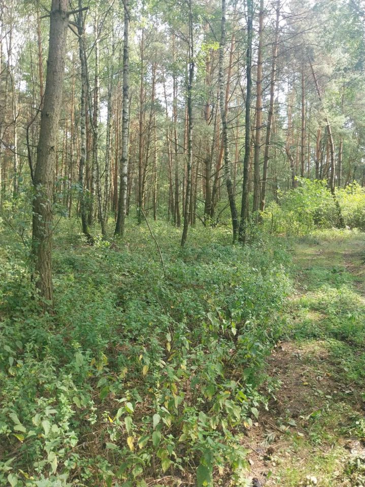 Działka rekreacyjna Kaleń. Zdjęcie 2