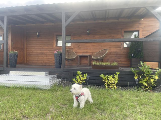 Działka budowlana Wolica, ul. Centralna. Zdjęcie 3