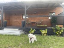 Działka budowlana Wolica, ul. Centralna. Zdjęcie 2