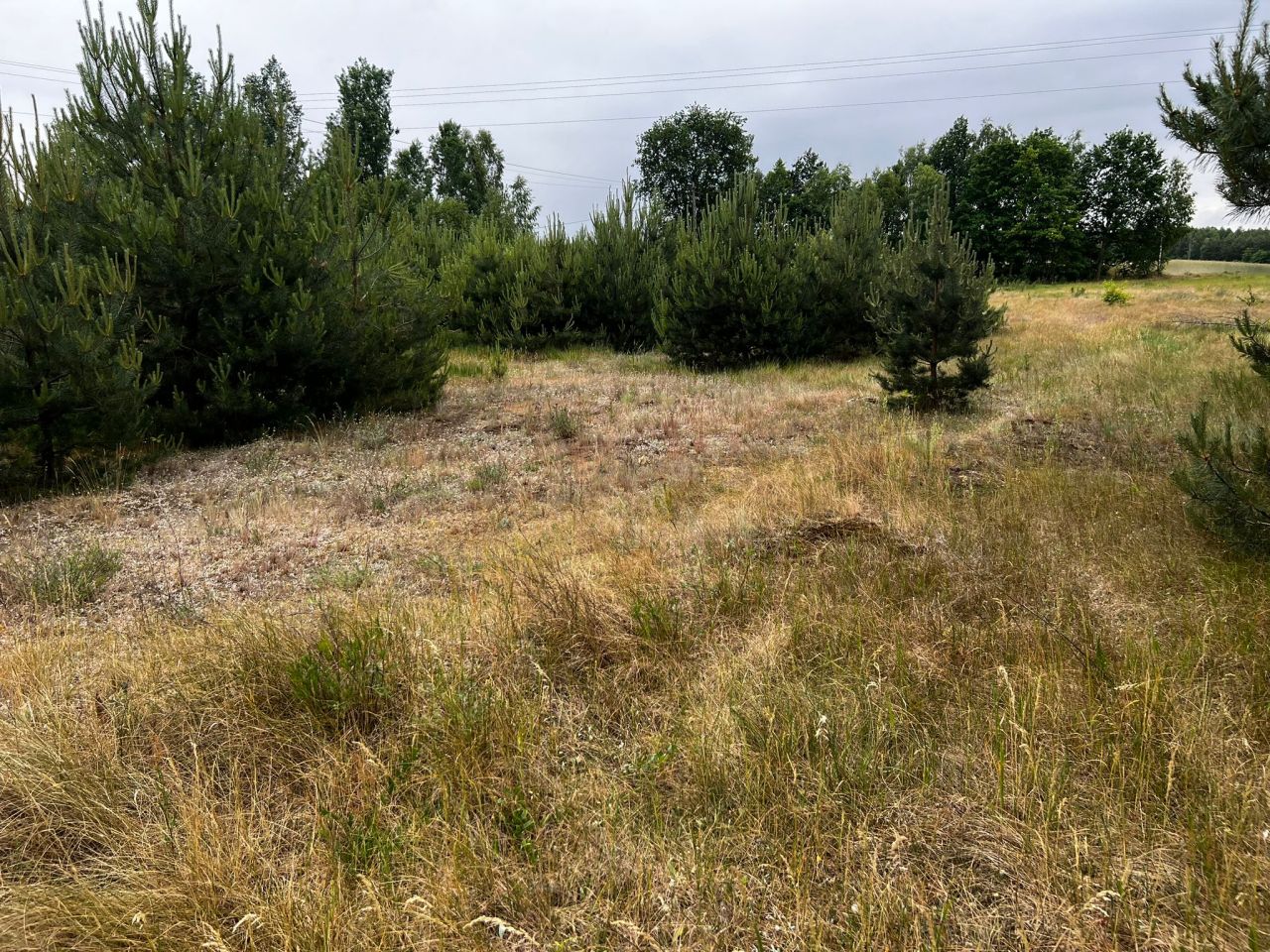 Działka budowlana Łąkie, Łąkie. Zdjęcie 7