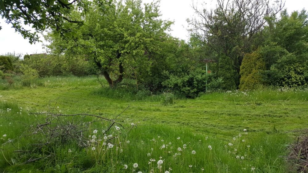 Działka rekreacyjna Szczecin, ul. Wincentego Witosa