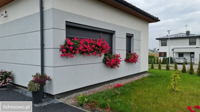 dom wolnostojący, 4 pokoje Mikołów Reta Śmiłowicka. Zdjęcie 1