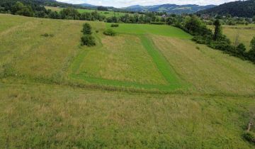 Działka na sprzedaż Rabka-Zdrój ul. Sądecka 5900 m2