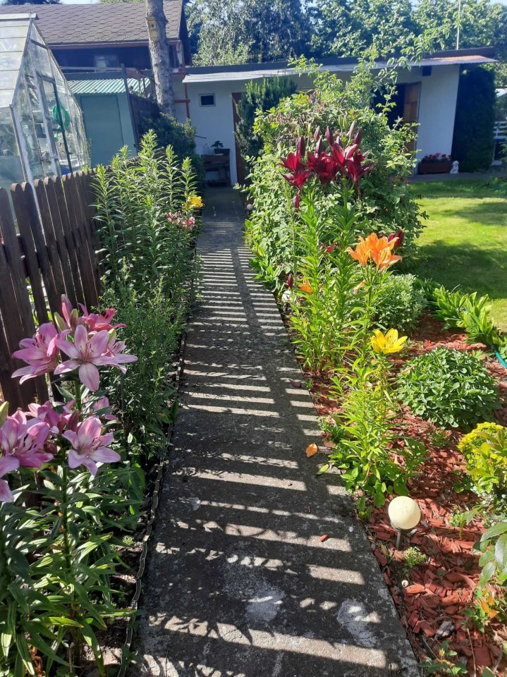 Działka rod Toruń. Zdjęcie 5