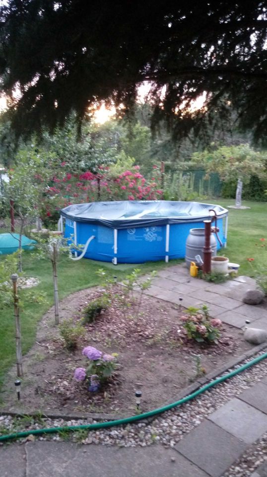 Działka rod Sulechów. Zdjęcie 6