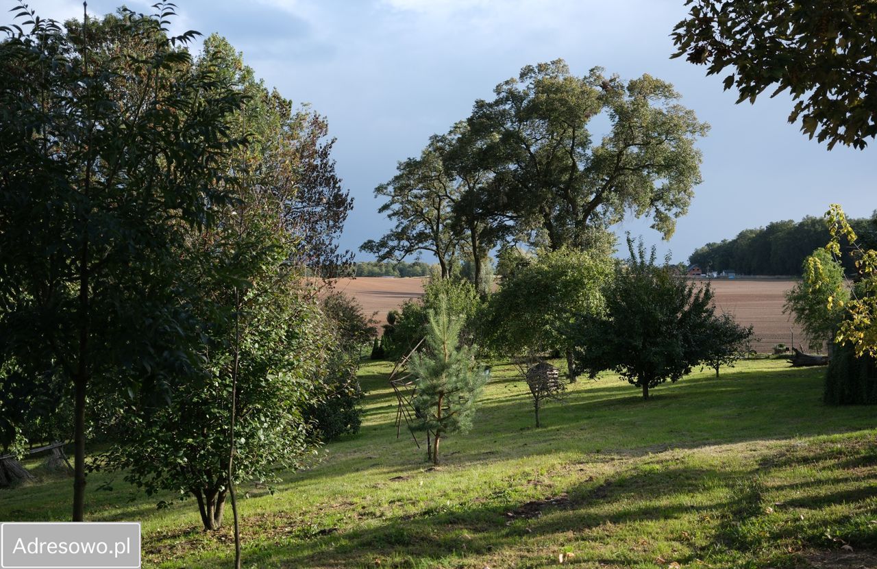 siedlisko, 4 pokoje Długie Parcele. Zdjęcie 11