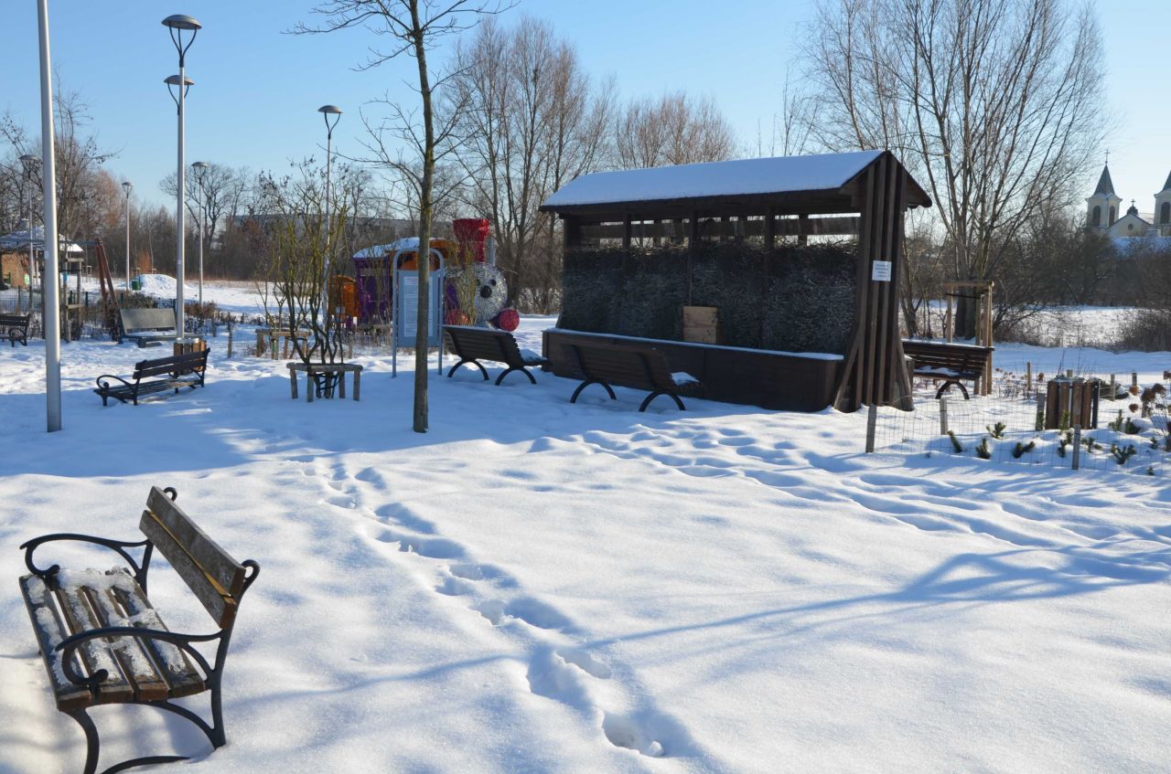 Działka budowlana Wierzbin. Zdjęcie 2