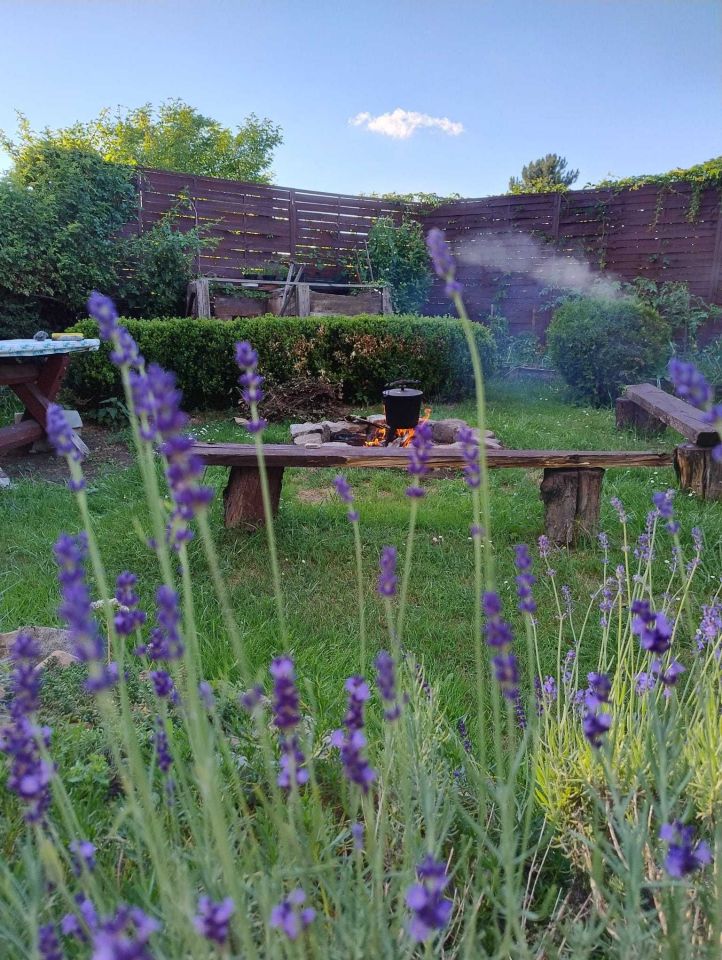 Działka rod Zabrze, ul. Stanisława Webera. Zdjęcie 3